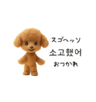 もこもこトイプーと♡韓国語でおしゃべり（個別スタンプ：6）