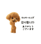 もこもこトイプーと♡韓国語でおしゃべり（個別スタンプ：8）