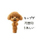 もこもこトイプーと♡韓国語でおしゃべり（個別スタンプ：9）