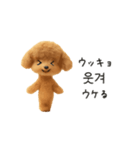 もこもこトイプーと♡韓国語でおしゃべり（個別スタンプ：11）