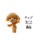 もこもこトイプーと♡韓国語でおしゃべり（個別スタンプ：14）