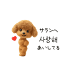 もこもこトイプーと♡韓国語でおしゃべり（個別スタンプ：16）