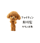 もこもこトイプーと♡韓国語でおしゃべり（個別スタンプ：17）