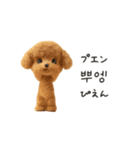 もこもこトイプーと♡韓国語でおしゃべり（個別スタンプ：18）
