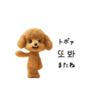 もこもこトイプーと♡韓国語でおしゃべり（個別スタンプ：20）