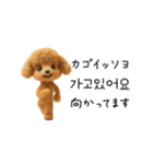 もこもこトイプーと♡韓国語でおしゃべり（個別スタンプ：21）