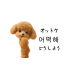もこもこトイプーと♡韓国語でおしゃべり（個別スタンプ：22）