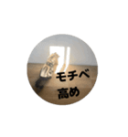 うごく！そらスタンプ（個別スタンプ：1）