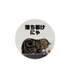 うごく！そらスタンプ（個別スタンプ：2）