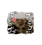 うごく！そらスタンプ（個別スタンプ：7）