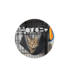うごく！そらスタンプ（個別スタンプ：8）