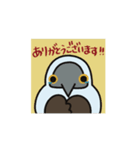 動くぞ！ アオアシさん（個別スタンプ：14）