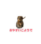 クルミさんのアニメスタンプ3（個別スタンプ：8）