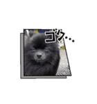 のわみるくvol.6（個別スタンプ：4）
