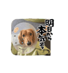 Rふぁみりー（個別スタンプ：3）