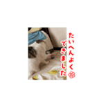 Rふぁみりー（個別スタンプ：6）