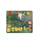 みんなだいすき！ひなみんご（個別スタンプ：8）