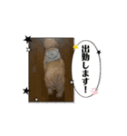 みんなだいすき！ひなみんご（個別スタンプ：10）