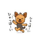 ちょっと動くヨーキーぽよ ちょっと博多弁（個別スタンプ：5）