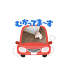 あこにゃん200（個別スタンプ：7）