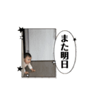 あこにゃん200（個別スタンプ：8）