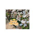 ヨーキー☆ひな（個別スタンプ：3）