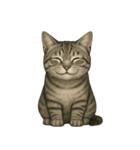 サバトラ猫の表情図鑑（個別スタンプ：1）