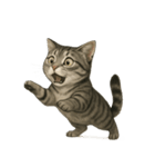 サバトラ猫の表情図鑑（個別スタンプ：10）