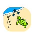 かめさんのまいにち5（個別スタンプ：21）