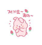 苺うさぎベリッポの日常 (韓国語/日本語)（個別スタンプ：15）