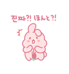 苺うさぎベリッポの日常 (韓国語/日本語)（個別スタンプ：19）