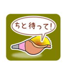 ほら貝メッセージ40選【男性向け】（個別スタンプ：2）