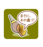ほら貝メッセージ40選【男性向け】（個別スタンプ：11）