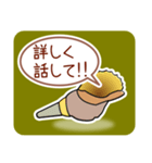 ほら貝メッセージ40選【男性向け】（個別スタンプ：14）