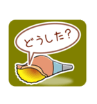 ほら貝メッセージ40選【男性向け】（個別スタンプ：19）