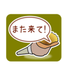 ほら貝メッセージ40選【男性向け】（個別スタンプ：30）
