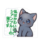 ロシアンブルーキャット - 生活用語（J3）（個別スタンプ：2）