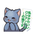 ロシアンブルーキャット - 生活用語（J3）（個別スタンプ：3）