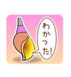 ほら貝メッセージ やさしい40 女性向け（個別スタンプ：3）