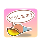 ほら貝メッセージ やさしい40 女性向け（個別スタンプ：19）