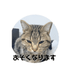 そらスタンプ！(3)（個別スタンプ：6）
