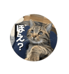 そらスタンプ！(3)（個別スタンプ：8）