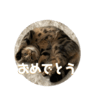 そらスタンプ！(3)（個別スタンプ：9）