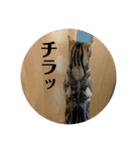 そらスタンプ！(3)（個別スタンプ：11）