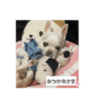 ちわわ♡ののたんスタンプ（個別スタンプ：10）