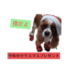 素直な言葉で伝えるメッセージ（個別スタンプ：1）