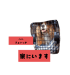 素直な言葉で伝えるメッセージ（個別スタンプ：4）