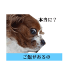 素直な言葉で伝えるメッセージ（個別スタンプ：5）