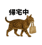 出発！ベンガル猫の日常LINEスタンプ（個別スタンプ：3）