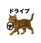 出発！ベンガル猫の日常LINEスタンプ（個別スタンプ：9）